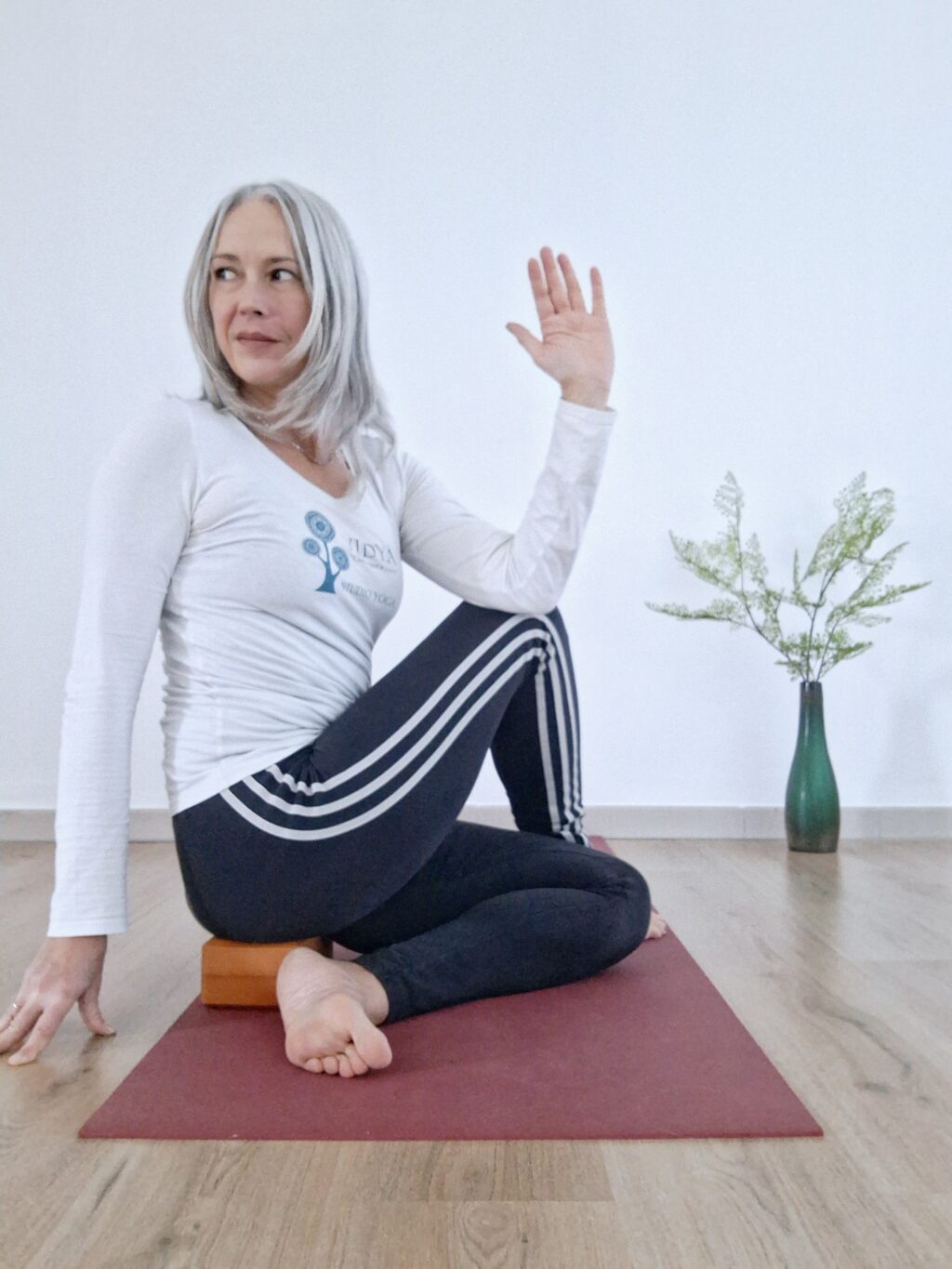 ardha matsyendrasana